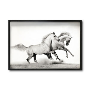 Cuadro Decorativo Caballos 017
