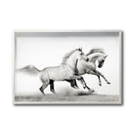 Cargar imagen en el visor de la galería, Cuadro Decorativo Caballos 017
