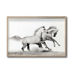 Cargar imagen en el visor de la galería, Cuadro Decorativo Caballos 017
