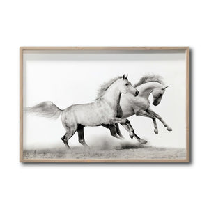 Cuadro Decorativo Caballos 017