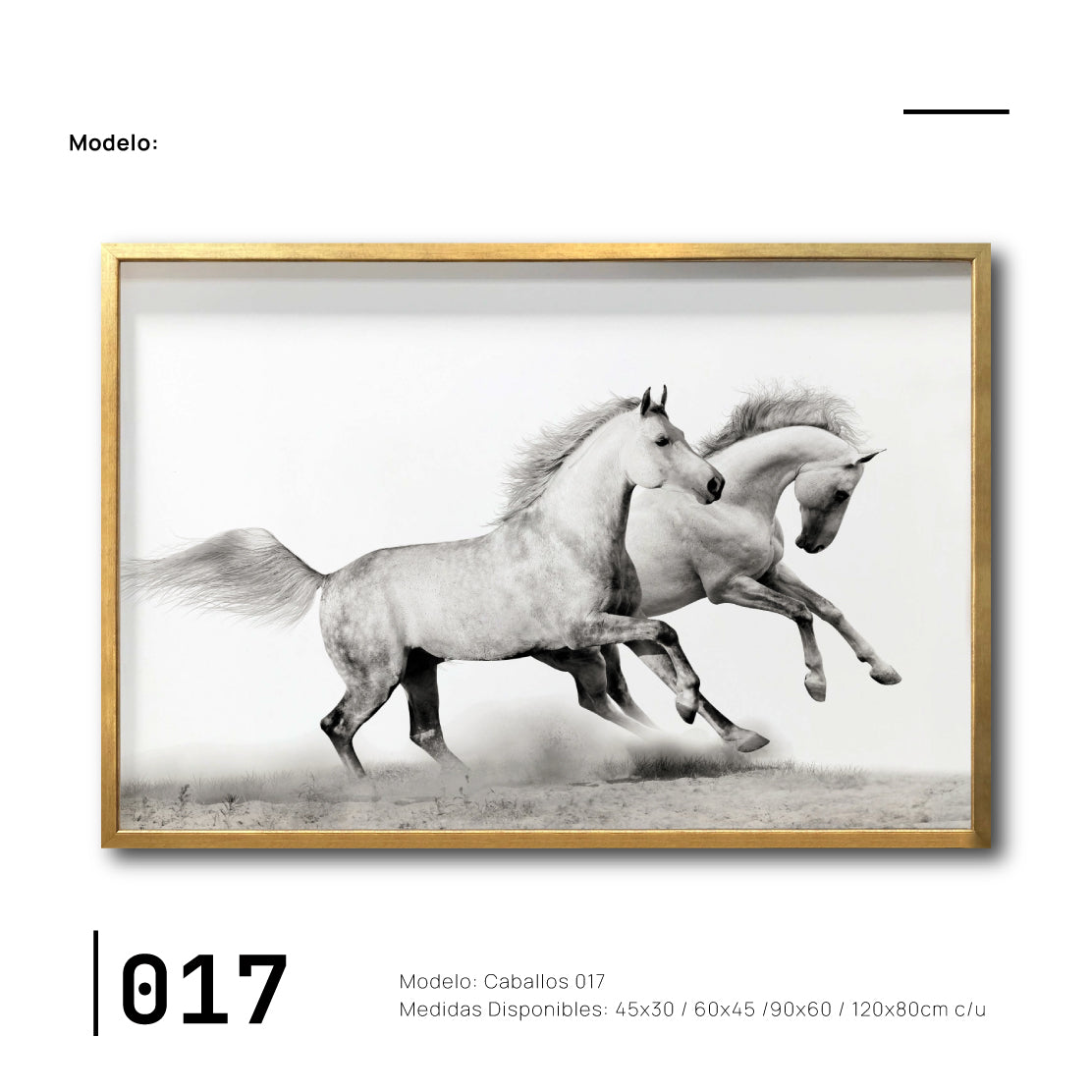 Cuadros Canvas de Caballos para sala. Galería 314. Caballos blancos.