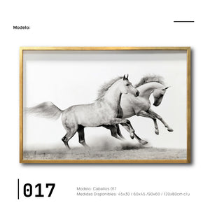 Cuadros Canvas de Caballos para sala. Galería 314. Caballos blancos.