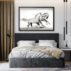Cuadro Decorativo Caballos 017