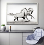 Cargar imagen en el visor de la galería, Cuadro Decorativo Caballos 017
