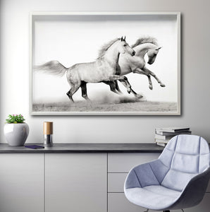 Cuadro Decorativo Caballos 017