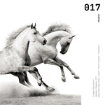 Cargar imagen en el visor de la galería, Cuadro Decorativo Caballos 017
