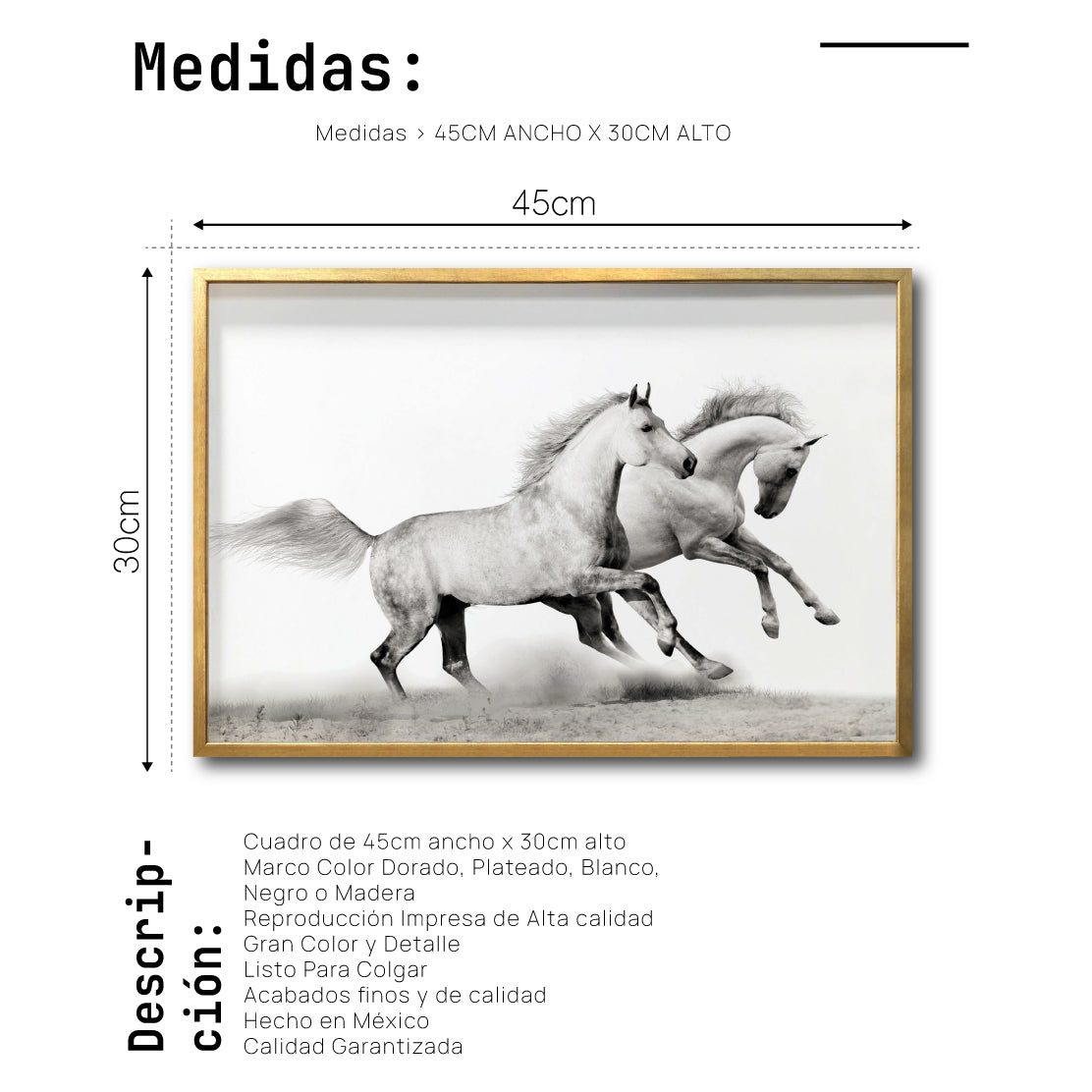 Cuadro Decorativo Caballos 017