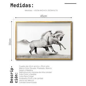 Cuadro Decorativo Caballos 017