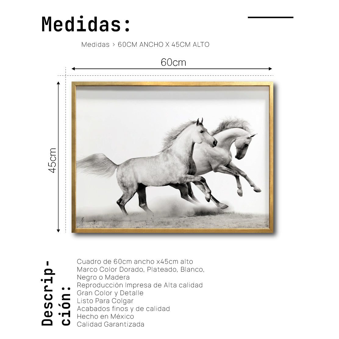 Cuadro Decorativo Caballos 017