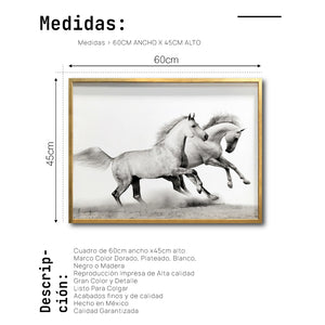 Cuadro Decorativo Caballos 017