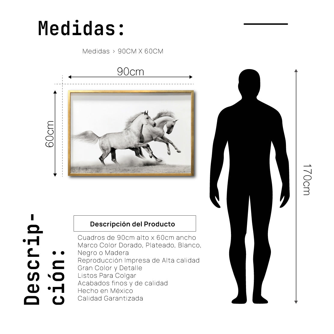 Cuadro Decorativo Caballos 017
