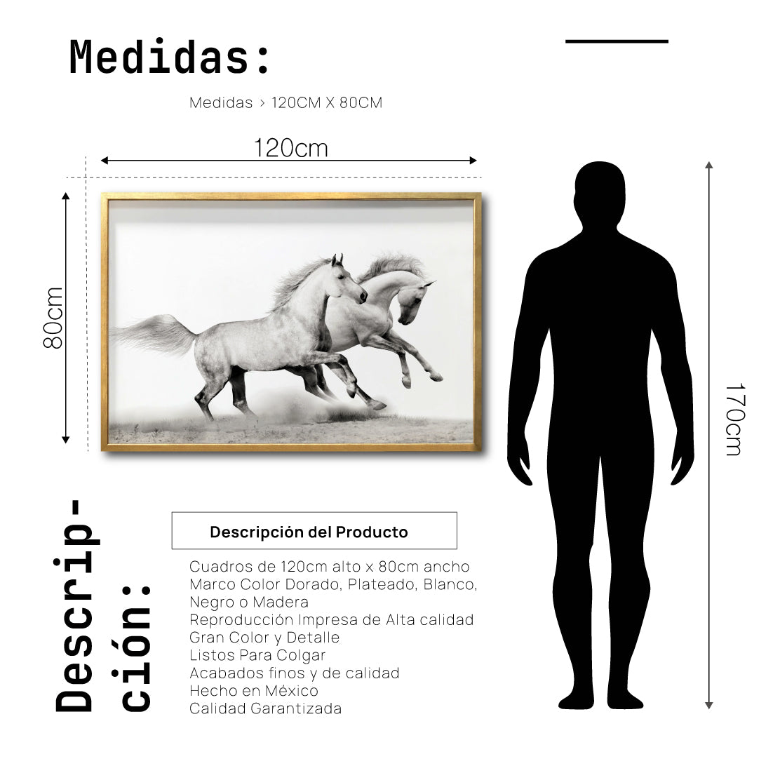 Cuadro Decorativo Caballos 017