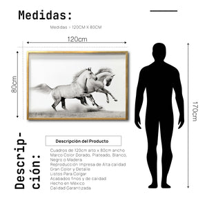 Cuadro Decorativo Caballos 017
