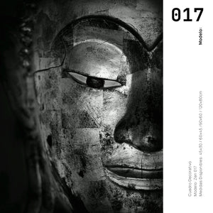Cuadro Decorativo - Zen 017 - Cabeza de Buda