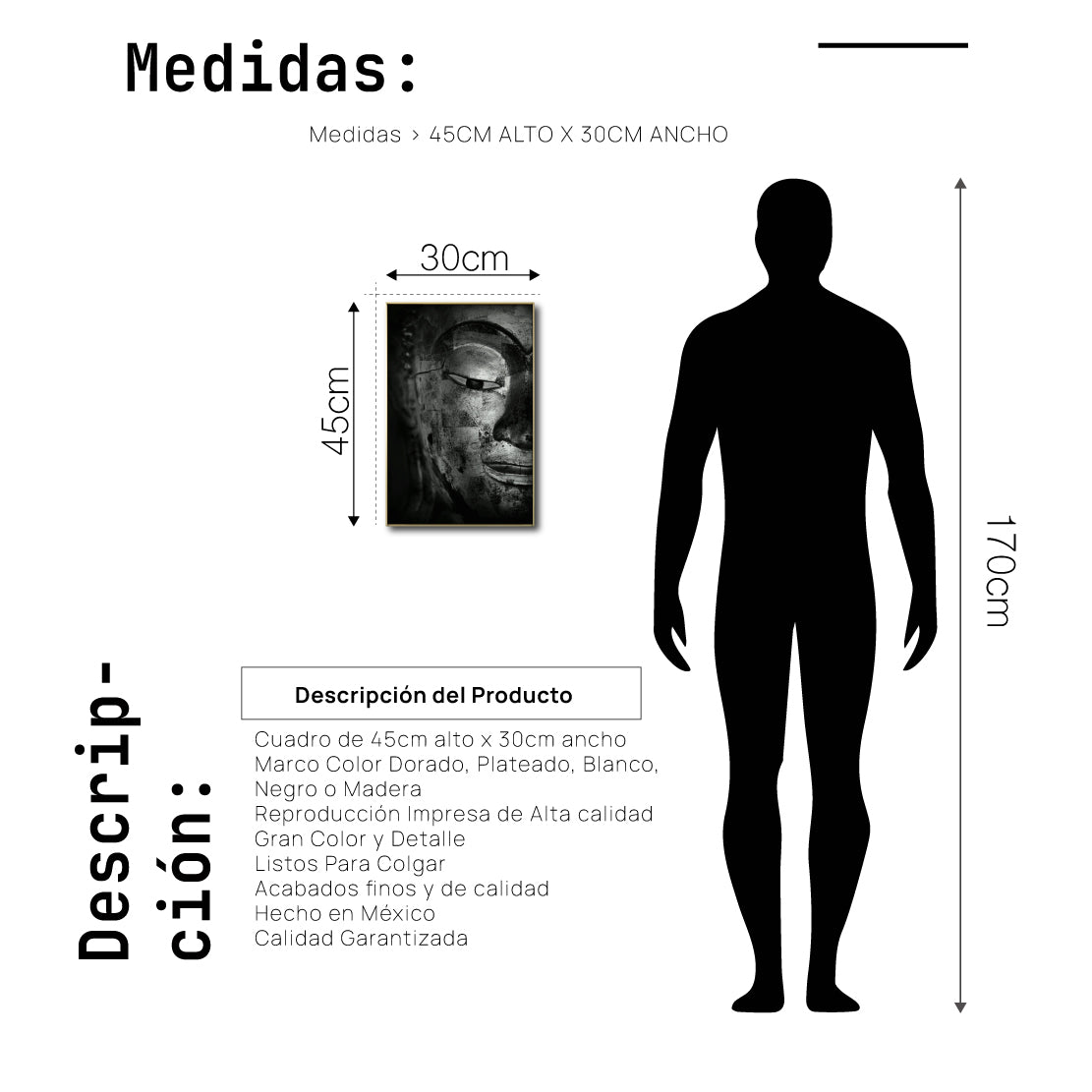 Cuadro Decorativo - Zen 017 - Cabeza de Buda
