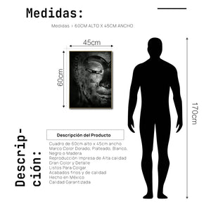 Cuadro Decorativo - Zen 017 - Cabeza de Buda