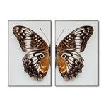 Cargar imagen en el visor de la galería, Set 2 Cuadros Decorativos Alas 018
