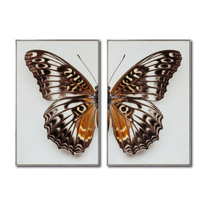 Set 2 Cuadros Decorativos Alas 018