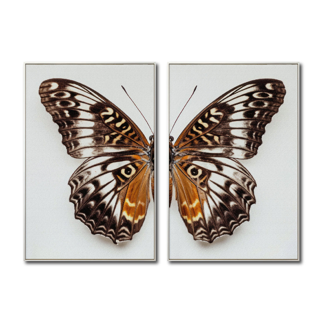 Set 2 Cuadros Decorativos Alas 018