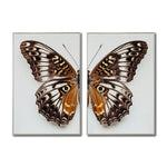 Cargar imagen en el visor de la galería, Set 2 Cuadros Decorativos Alas 018
