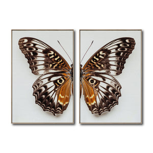 Set 2 Cuadros Decorativos Alas 018