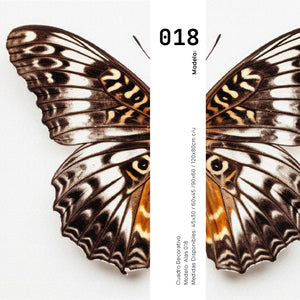 Set 2 Cuadros Decorativos Alas 018