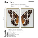Cargar imagen en el visor de la galería, Set 2 Cuadros Decorativos Alas 018
