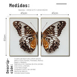 Cargar imagen en el visor de la galería, Set 2 Cuadros Decorativos Alas 018
