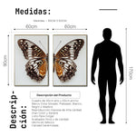 Cargar imagen en el visor de la galería, Set 2 Cuadros Decorativos Alas 018
