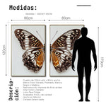 Cargar imagen en el visor de la galería, Set 2 Cuadros Decorativos Alas 018
