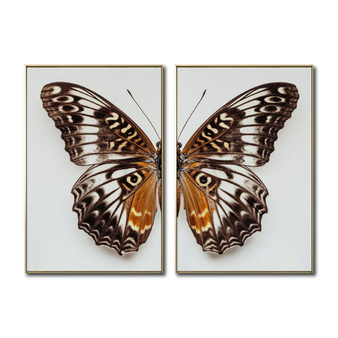 Set 2 Cuadros Decorativos Alas 018