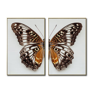 Set 2 Cuadros Decorativos Alas 018