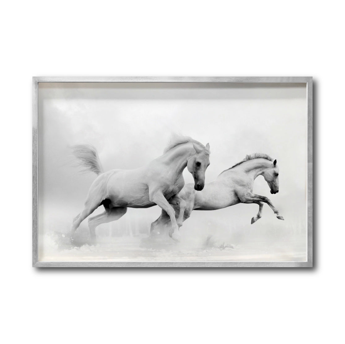 Cuadro Decorativo Caballos 018