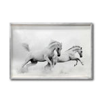 Cargar imagen en el visor de la galería, Cuadro Decorativo Caballos 018
