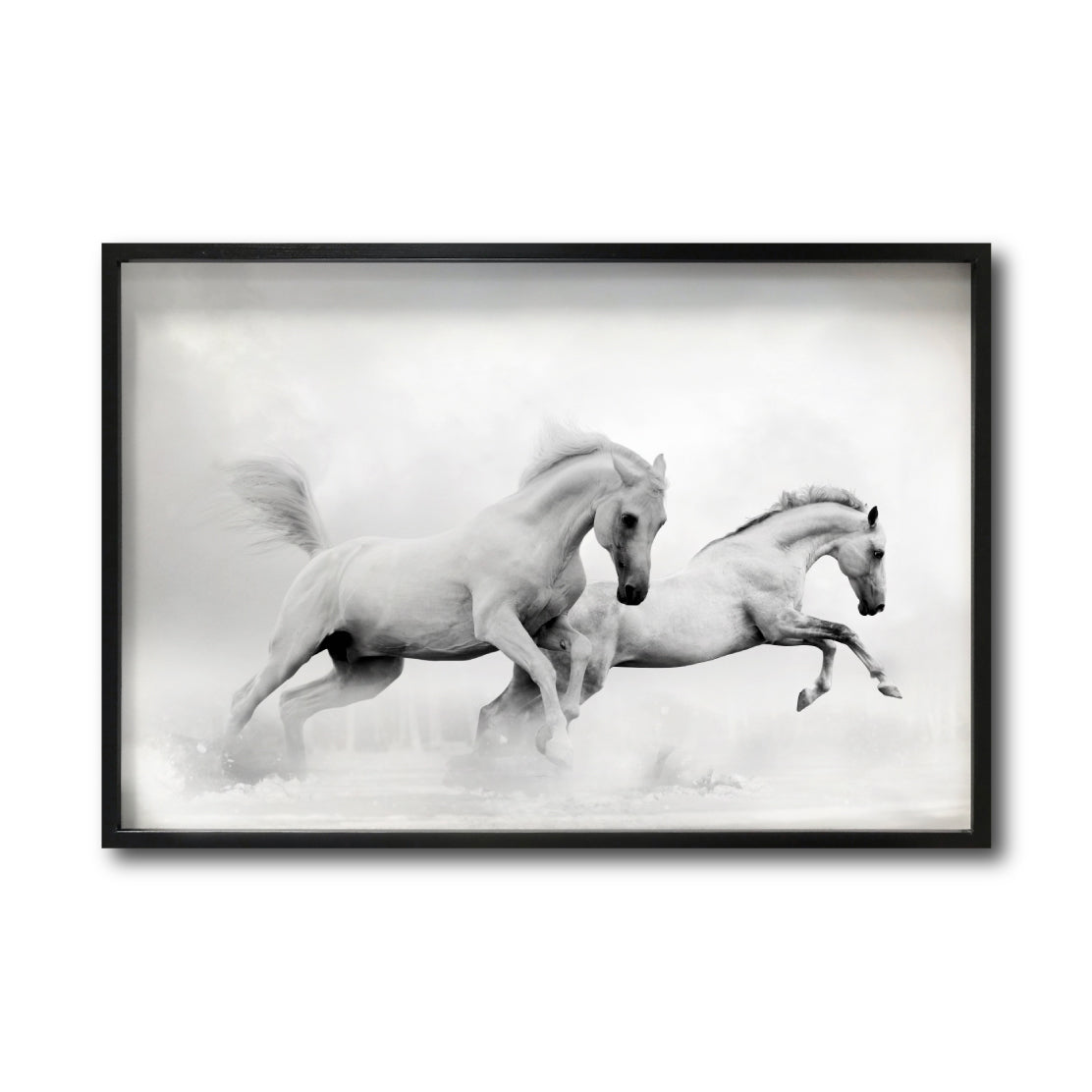 Cuadro Decorativo Caballos 018