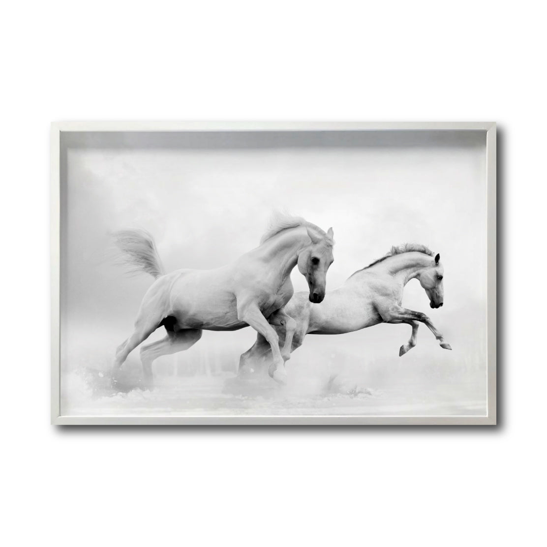 Cuadro Decorativo Caballos 018