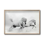 Cargar imagen en el visor de la galería, Cuadro Decorativo Caballos 018
