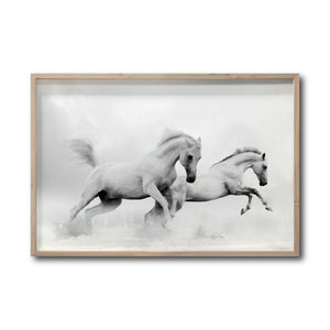 Cuadro Decorativo Caballos 018