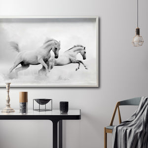 Cuadro Decorativo Caballos 018