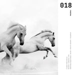 Cargar imagen en el visor de la galería, Cuadro Decorativo Caballos 018
