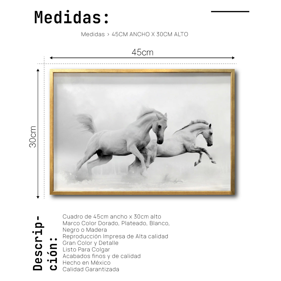 Cuadro Decorativo Caballos 018