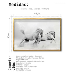 Cuadro Decorativo Caballos 018