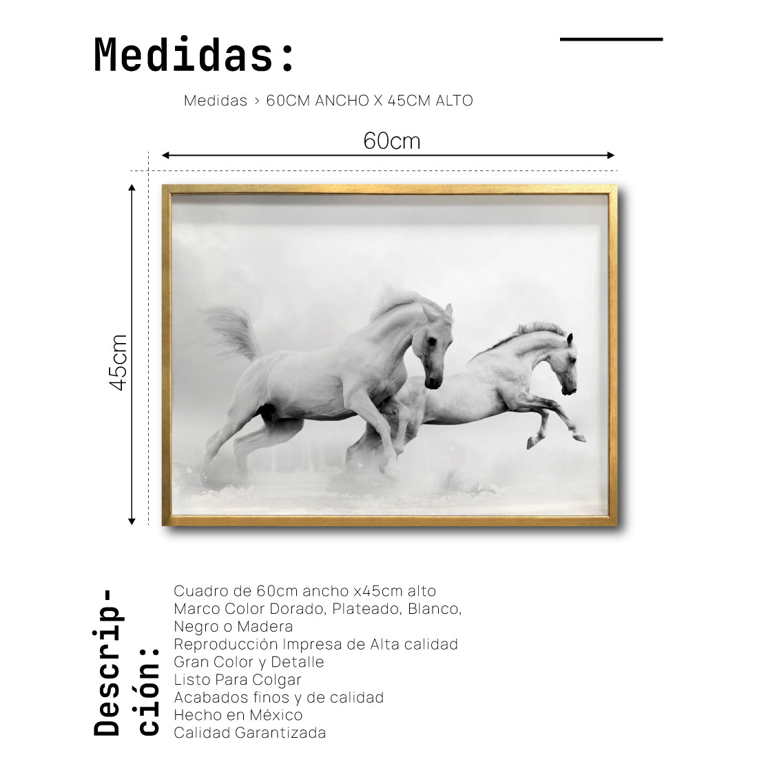 Cuadro Decorativo Caballos 018