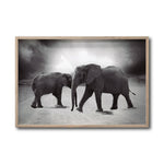 Cargar imagen en el visor de la galería, Cuadro Decorativo Fauna 018 - Elefantes Blanco y Negro
