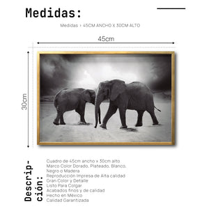 Cuadro Decorativo Fauna 018 - Elefantes Blanco y Negro