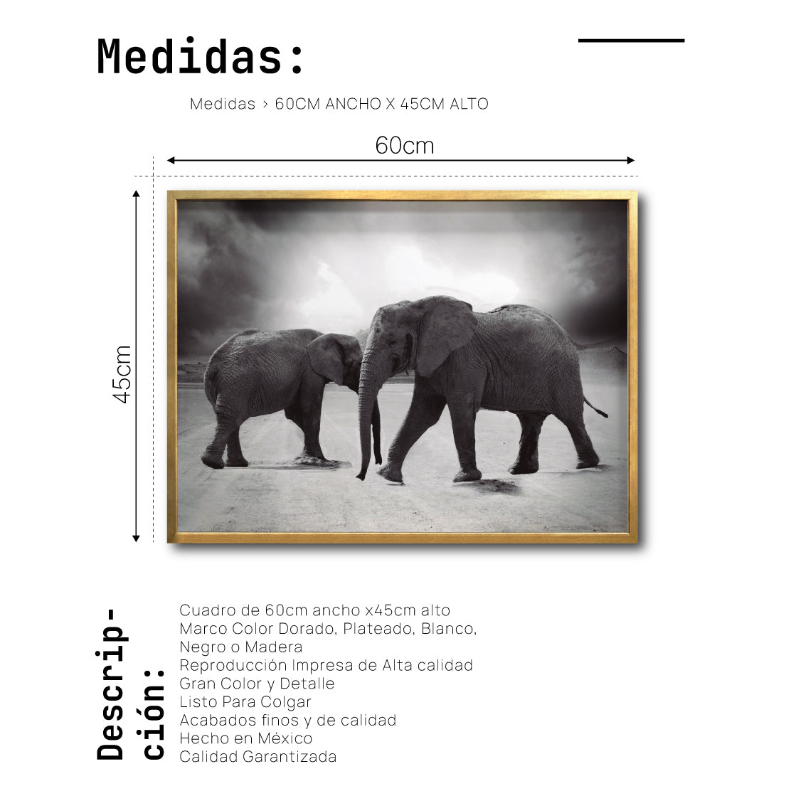 Cuadro Decorativo Fauna 018 - Elefantes Blanco y Negro