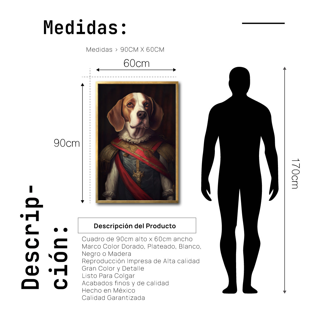 Cuadro Decorativo Perros Epoca 018 - Beagle Aristocrata