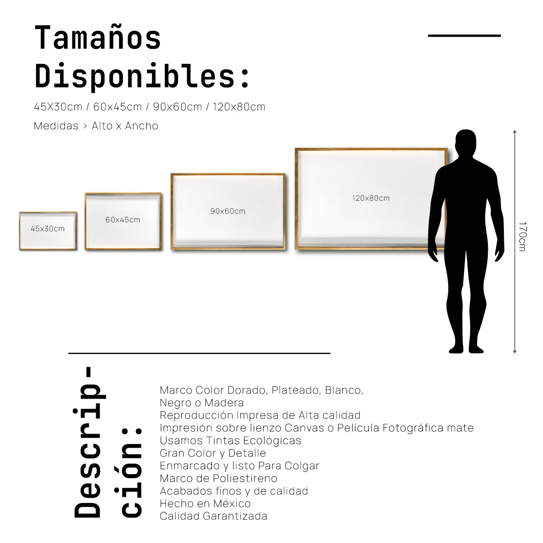Cuadro Decorativo Roots 007 - Manos Abstractas Blanco y Negro