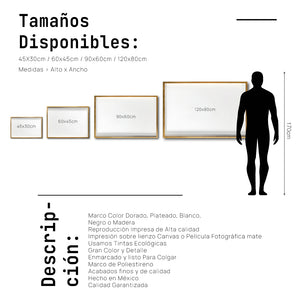 Cuadro Decorativo Roots 007 - Manos Abstractas Blanco y Negro