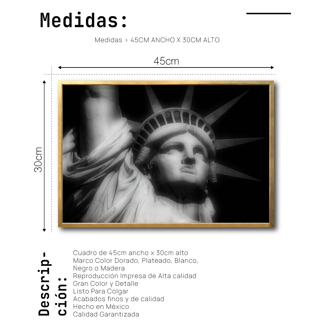 Cuadro Decorativo NY 019 - Estatua de la Libertad Nueva York